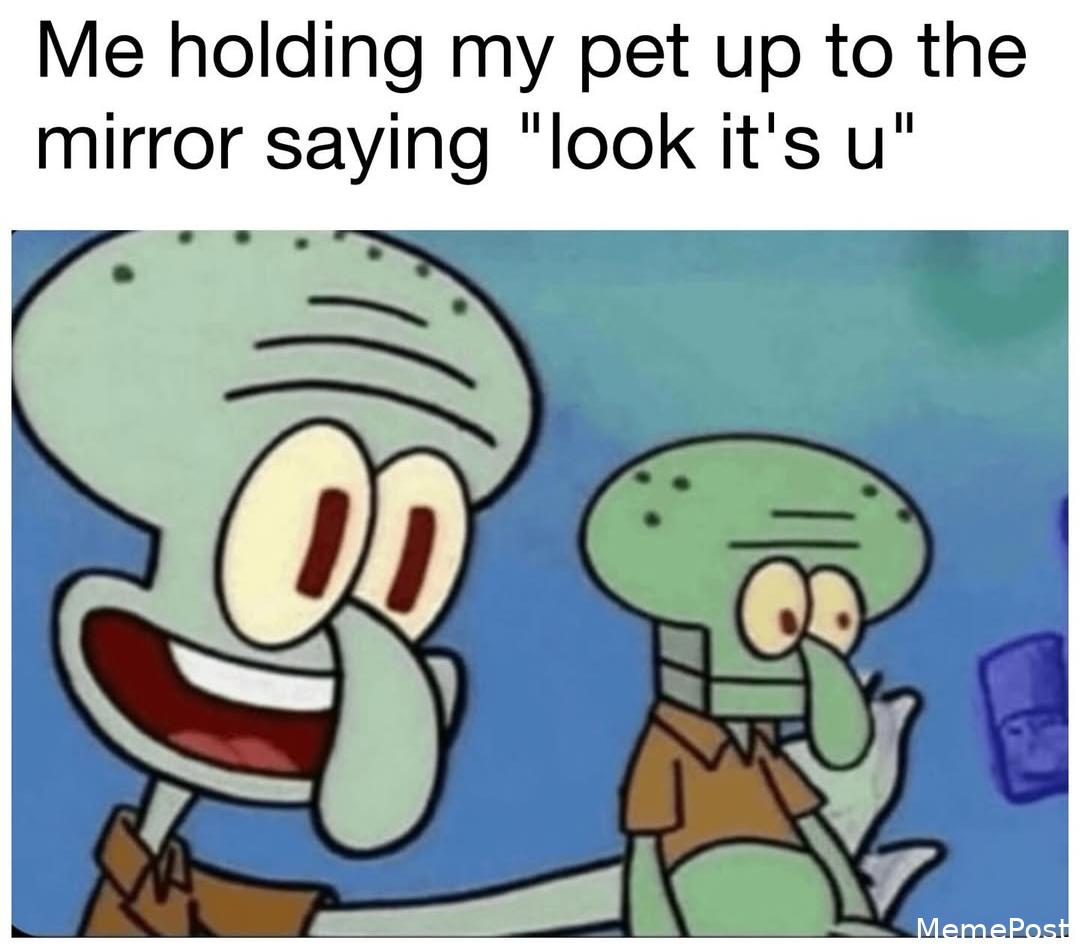 Me_irl: Hilarious Relatable Moments We All Experience in Everyday Life and Memes