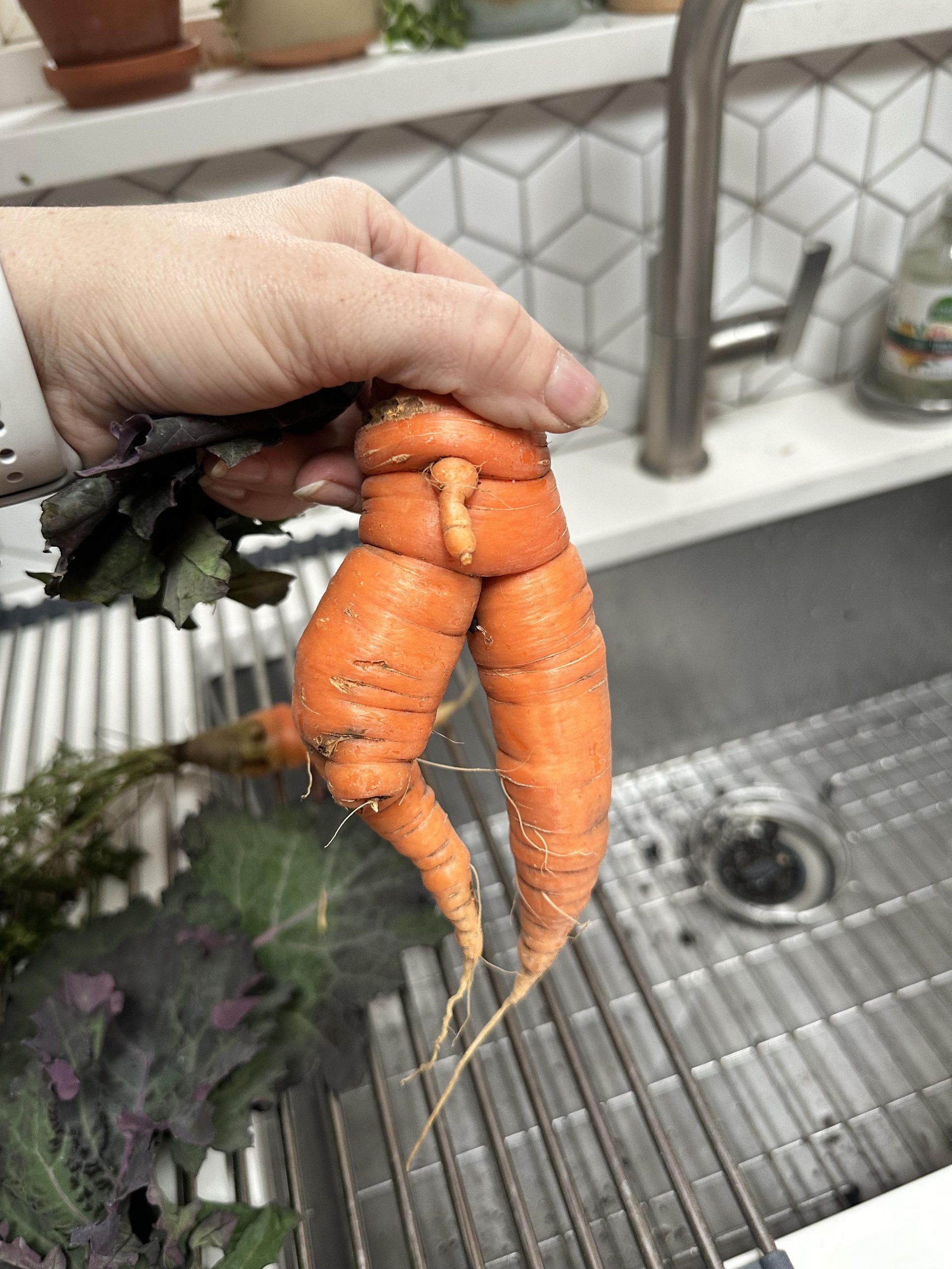 Pulled This Little Guy from the Garden Today – Adorable Garden Finds and Nature Surprises!