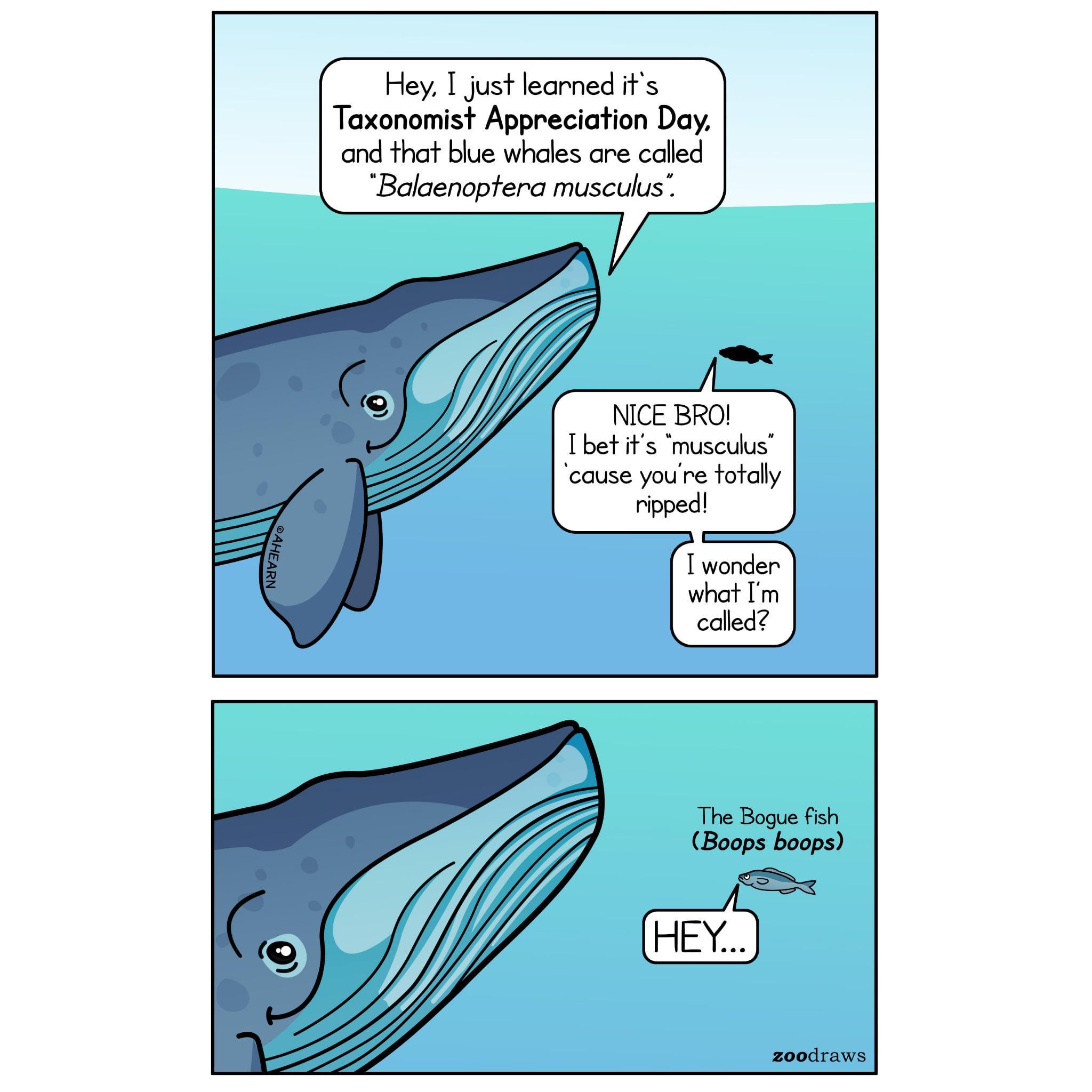 What What? [OC] - Funny Reaction Meme Capturing Confusion and Surprise in Everyday Moments