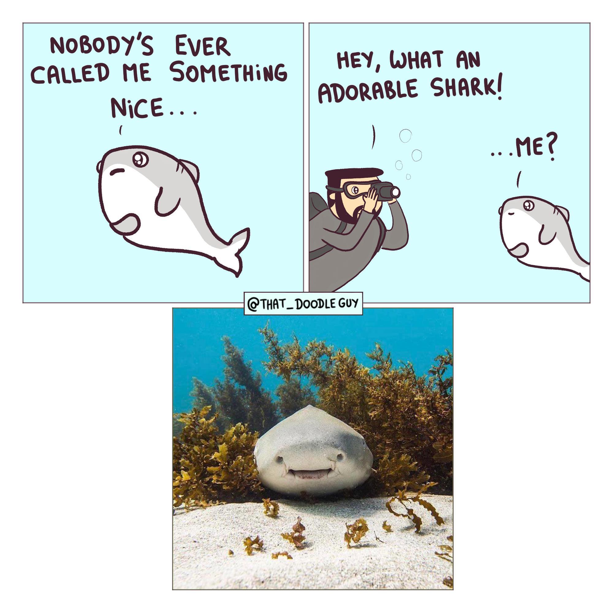 Something Nice: Heartwarming Moments That Brighten Your Day [OC] - Uplifting Memes and Positivity