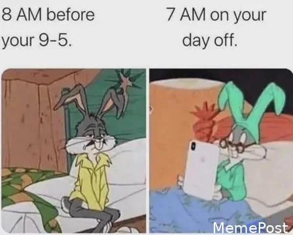 Me_IRL: Relatable Moments Showcasing Everyday Life Struggles and Humor in Memes